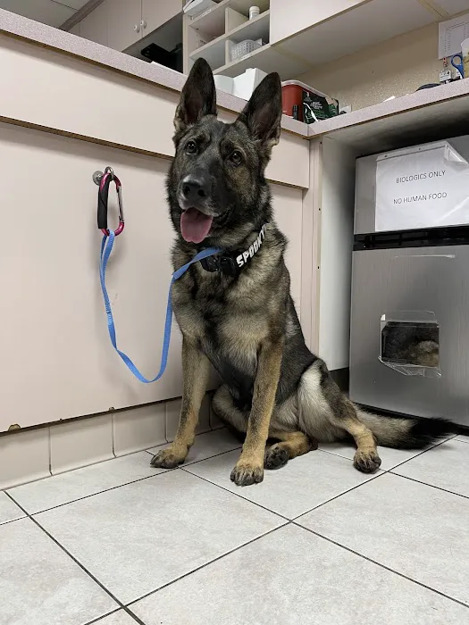 Tustin Santa Ana Vet Hospital Picture 3