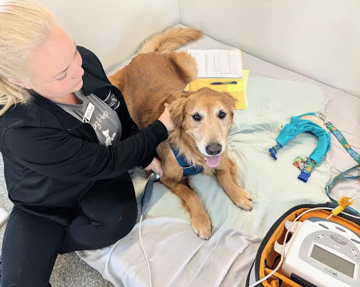 Canine Rehabilitation Of Orange County Picture 2