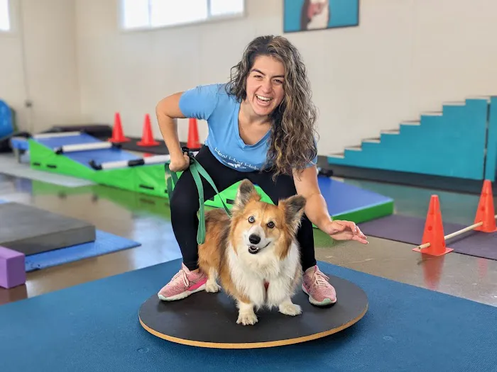 Canine Rehabilitation Of Orange County Picture 5
