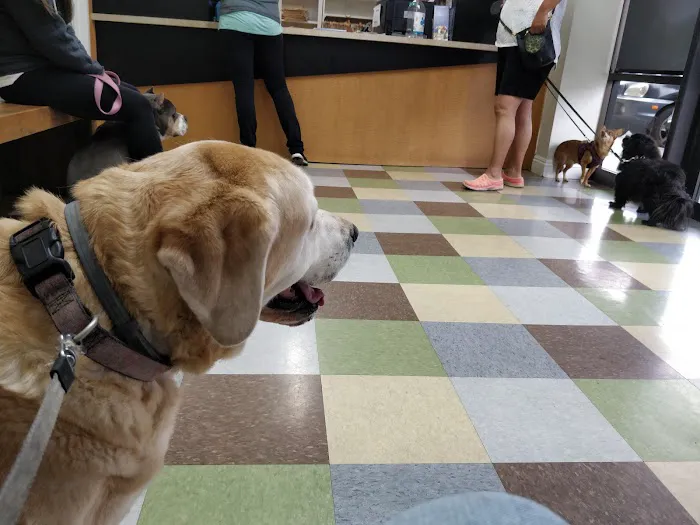 Alton Main Animal Hospital Picture 3