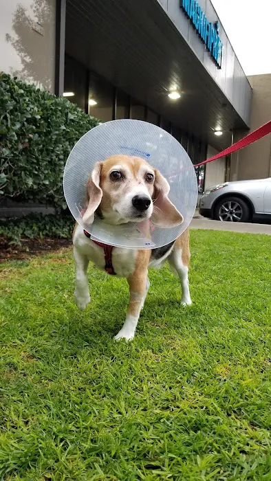 Alton Main Animal Hospital Picture 7