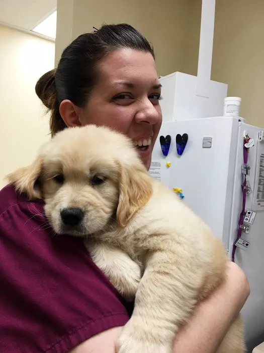 Tustin Care Animal Hospital Picture 3