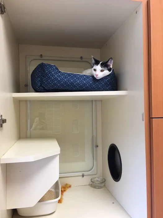 Tustin Care Animal Hospital Picture 6