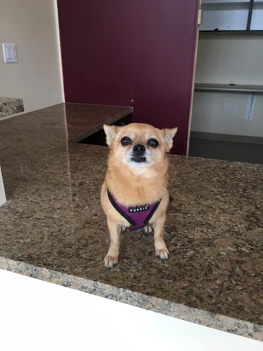 Tustin Care Animal Hospital Picture 7