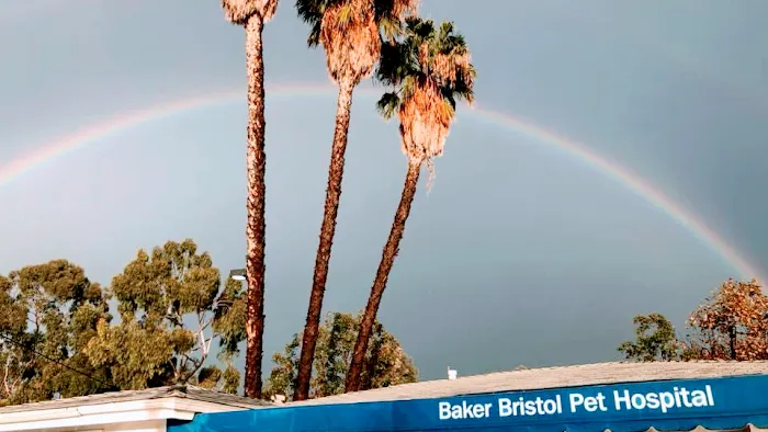 Baker Bristol Pet Hospital Picture 1