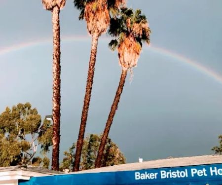 Baker Bristol Pet Hospital