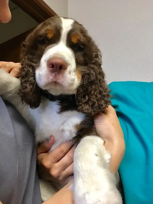 Baker Bristol Pet Hospital Picture 3