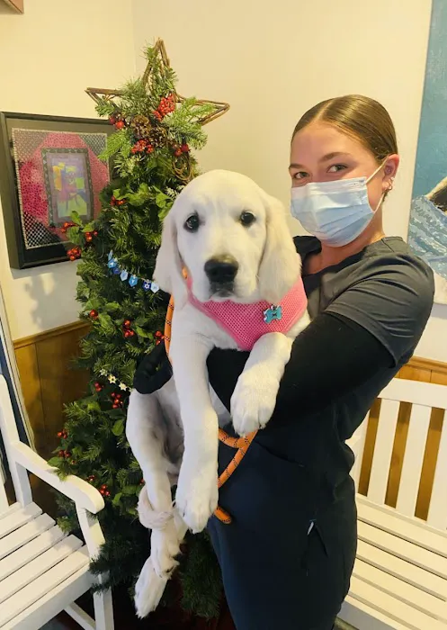 Baker Bristol Pet Hospital Picture 4