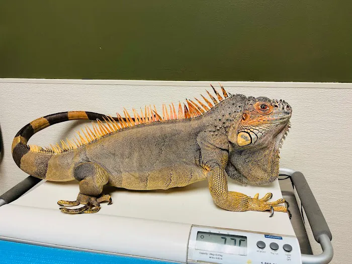 Baker Bristol Pet Hospital Picture 5