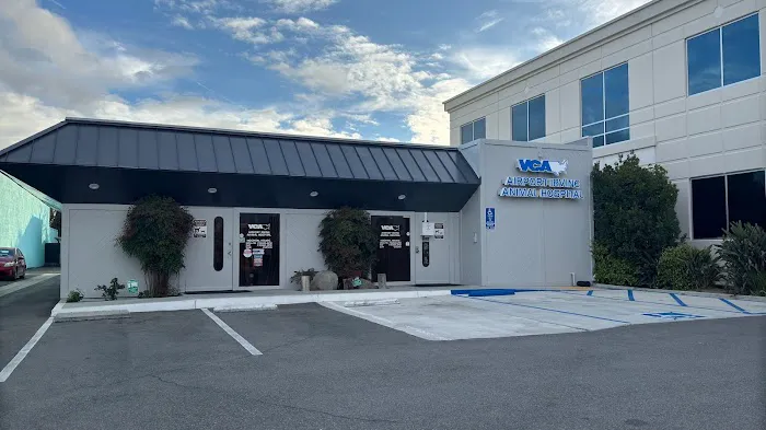 VCA Airport Irvine Animal Hospital Picture 3