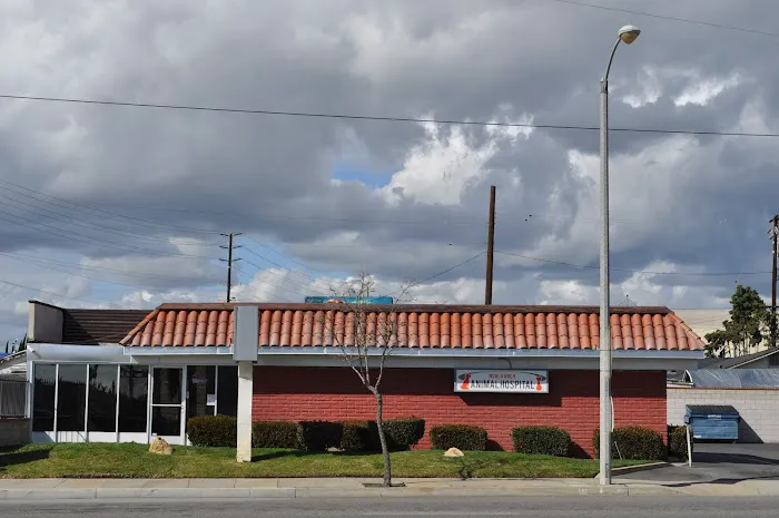Nohl Ranch Animal Hospital Picture 3