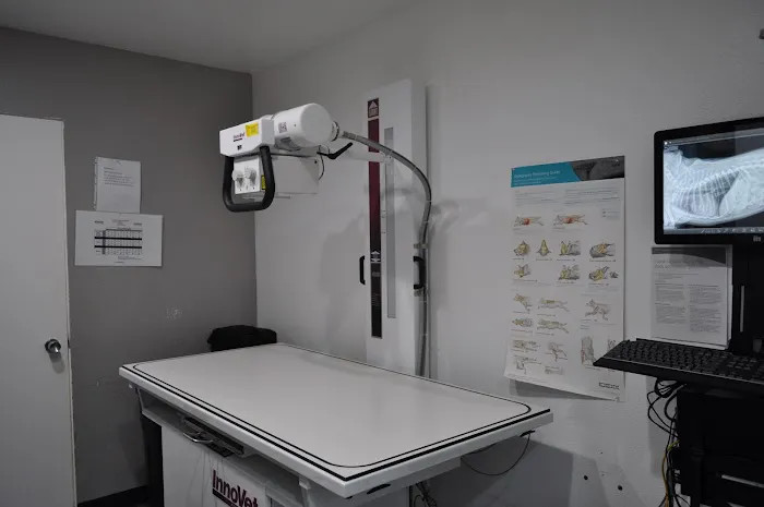Nohl Ranch Animal Hospital Picture 10