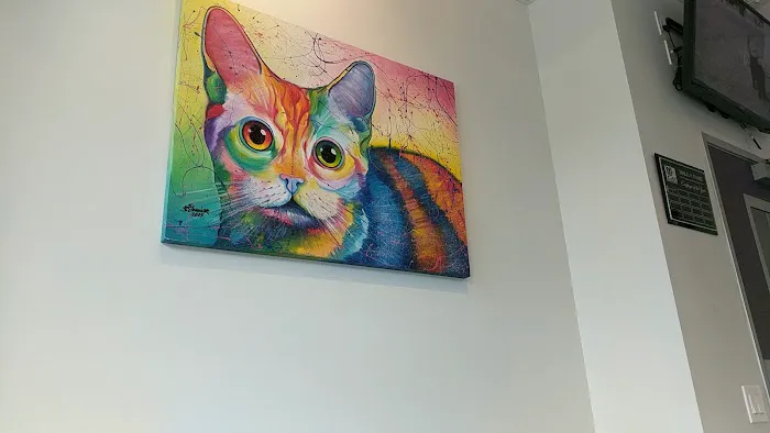 The Cat Care Clinic Picture 6