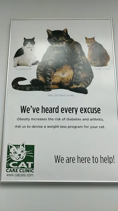 The Cat Care Clinic Picture 10