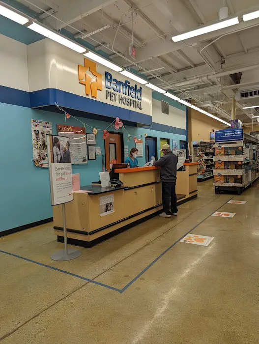 Banfield Pet Hospital Picture 1