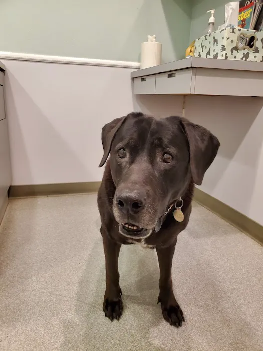 Orange-Olive Animal Hospital Picture 3