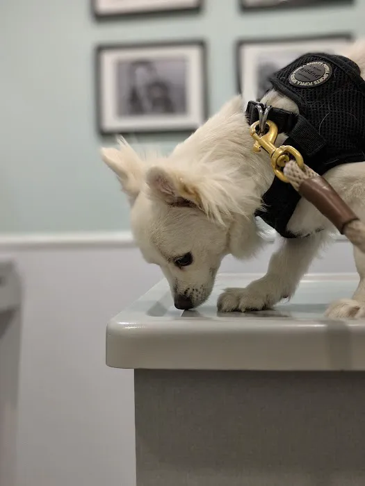 Orange-Olive Animal Hospital Picture 6