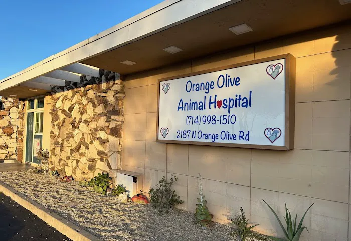 Orange-Olive Animal Hospital Picture 9