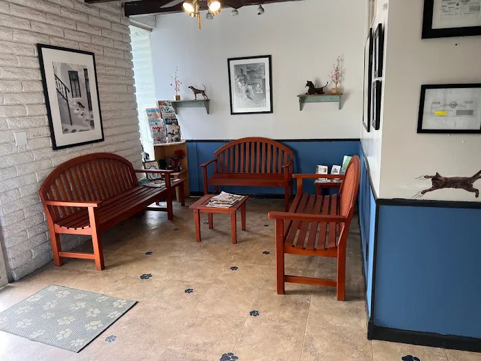 Affordable Animal Hospital of Orange Picture 5