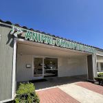 Animal Orthopedic Center