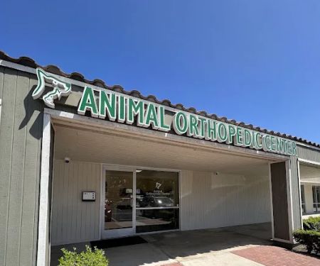 Animal Orthopedic Center