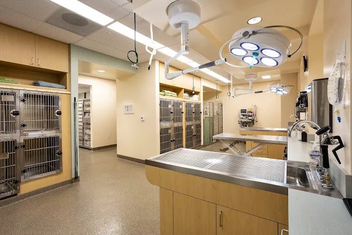 Animal Orthopedic Center Picture 3