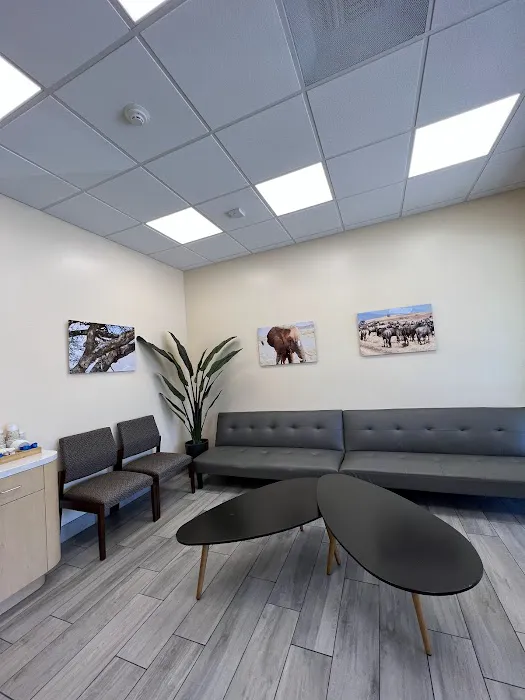 Animal Orthopedic Center Picture 9