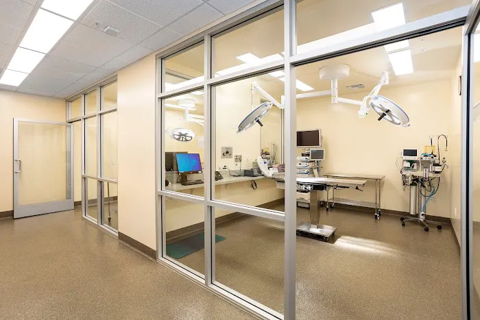 Animal Orthopedic Center Picture 10
