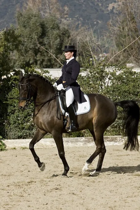 Equine Veterinary Associates, Inc. Picture 1