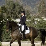 Equine Veterinary Associates, Inc.