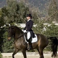 Equine Veterinary Associates, Inc. ico