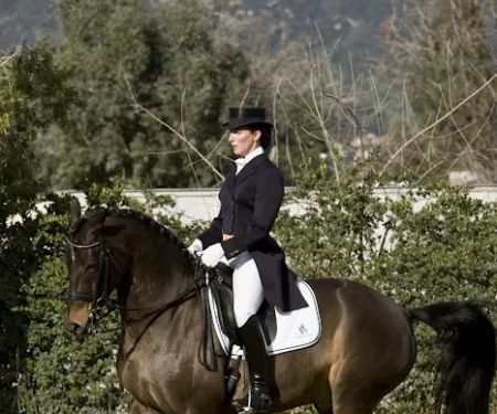 Equine Veterinary Associates, Inc.