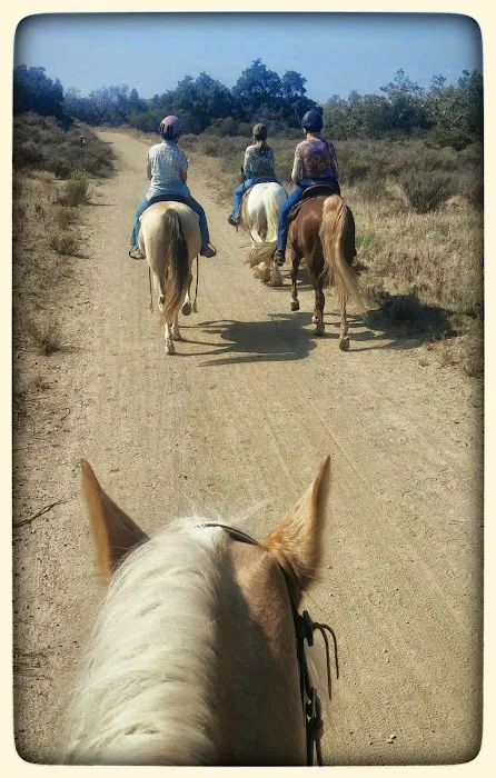 Equine Veterinary Associates, Inc. Picture 4