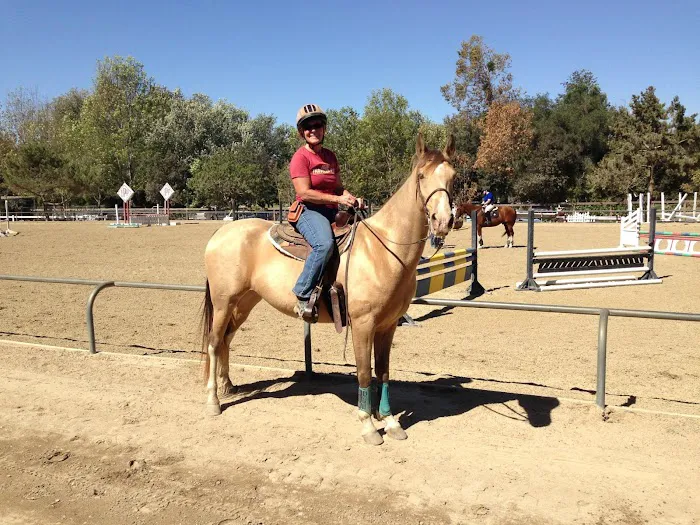 Equine Veterinary Associates, Inc. Picture 3
