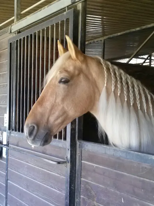 Equine Veterinary Associates, Inc. Picture 5