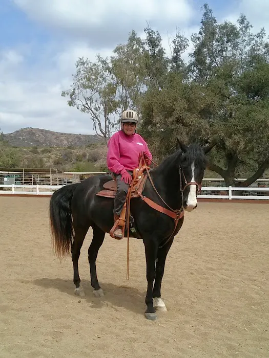 Equine Veterinary Associates, Inc. Picture 9