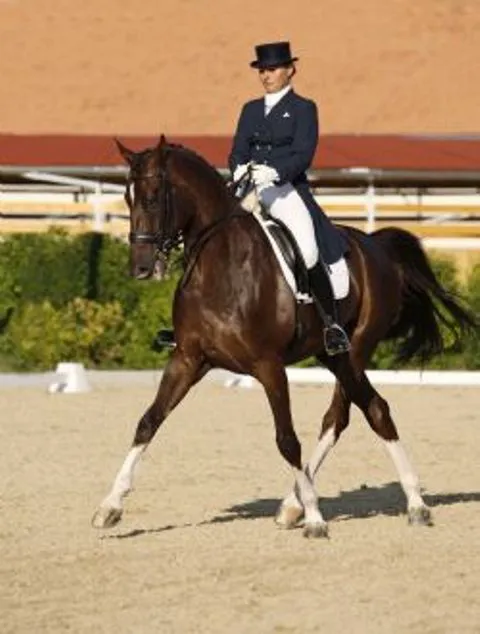 Equine Veterinary Associates, Inc. Picture 10