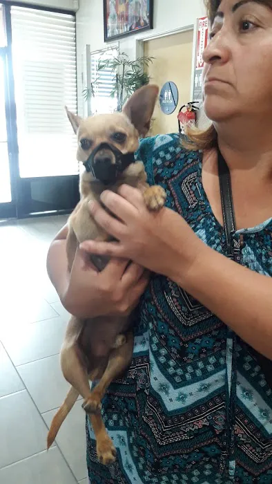 Veterinary Out-Patient Clinic Picture 7