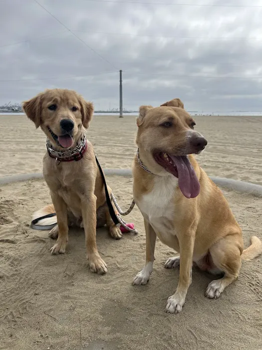 Golden Pet Rx Pharmacy Picture 5