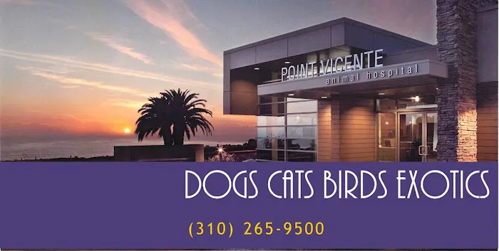 Point Vicente Animal Hospital Picture 3