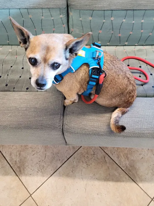Point Vicente Animal Hospital Picture 1