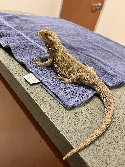 Point Vicente Animal Hospital Picture 6