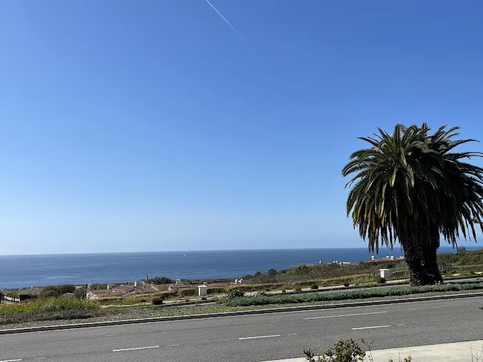 Point Vicente Animal Hospital Picture 7