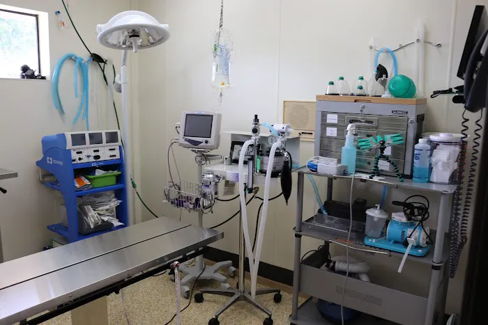 AM/PM Veterinary Hospital Picture 1