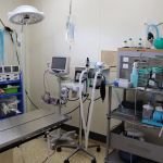 AM/PM Veterinary Hospital