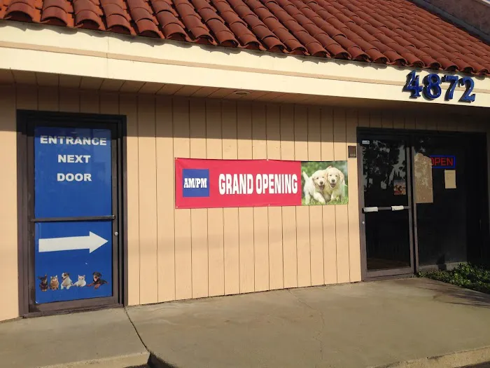 AM/PM Veterinary Hospital Picture 4