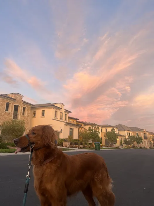 AM/PM Veterinary Hospital Picture 5