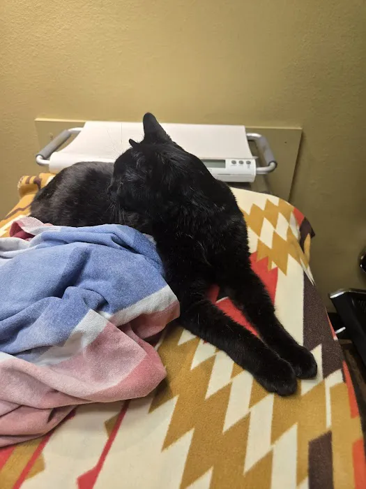 AM/PM Veterinary Hospital Picture 7