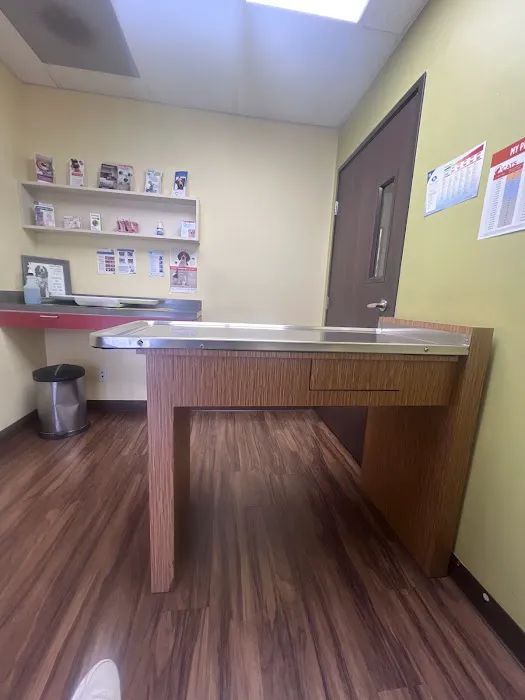 Yorba Lake Pet Clinic Picture 5