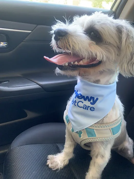 Chewy Vet Care Cinco Ranch Picture 8